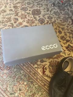 ecco shoes