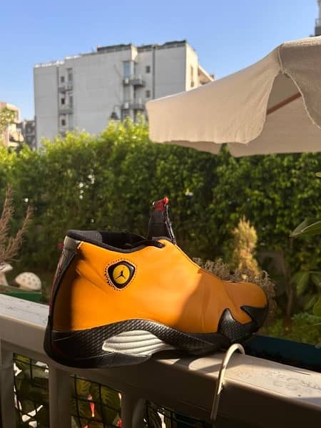 Jordan 14 Retro 5