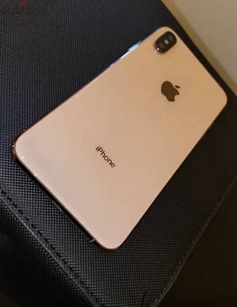 Xs Max 256 1