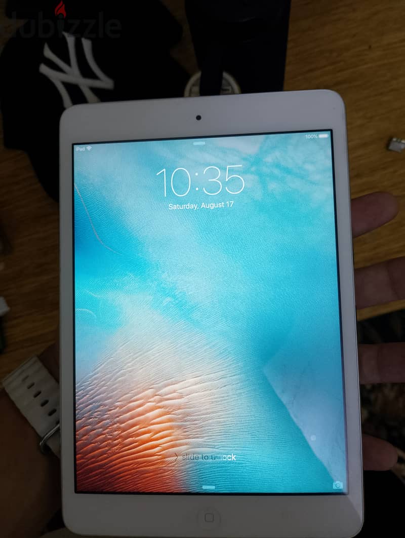 iPad Mini 2