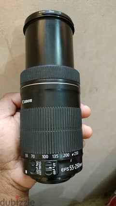 canon macro lens 55-250 mm stm