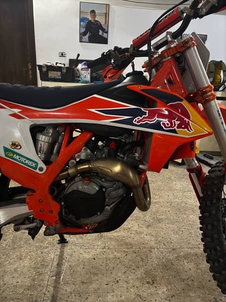 2020 cairoli 450 4