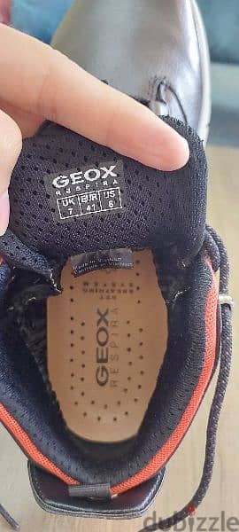 Geox Shoes - Original 1