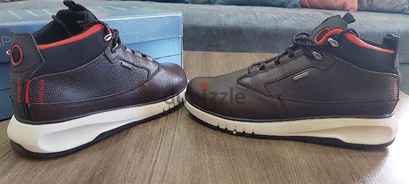 Geox Shoes - Original 2