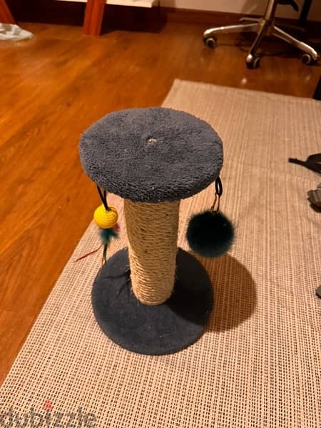 Cat scratcher 1