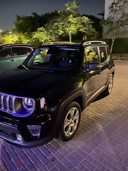 Jeep Renegade 2020 2