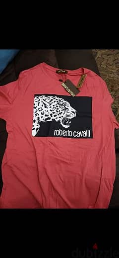 New Roberto Cavalli tshirts 0