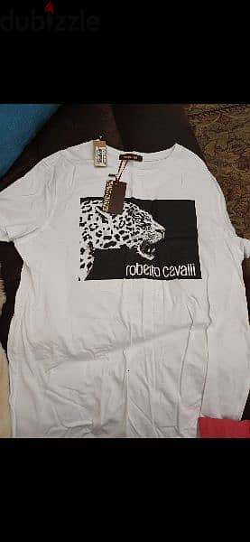 New Roberto Cavalli tshirts 1