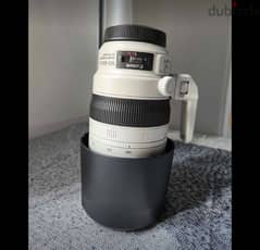 Canon EF 100-400mm