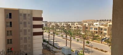 Palm Hills New Cairo     Apartment for sale     Area: 171m² 0