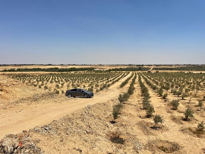 فرصه للاستثمار 10 فدان مسجلة ري نيلي علي الطريق الرئيسي 0