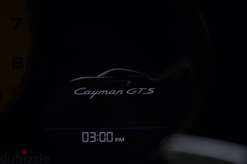 Porsche Cayman Gts 2021 10