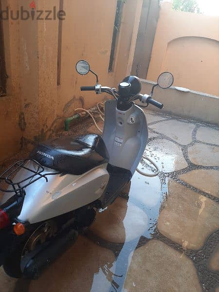 honda today 50 cc scooter 1