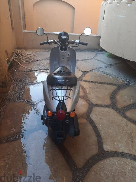 honda today 50 cc scooter 2