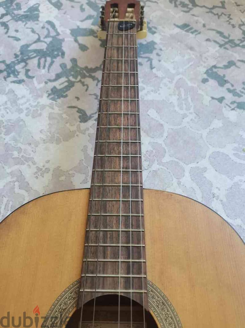 جيتار كلاسيك كورت - Cort AC10 NS classic guitar 1