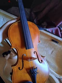 violin