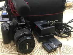 canon 250D & Rode videomic go