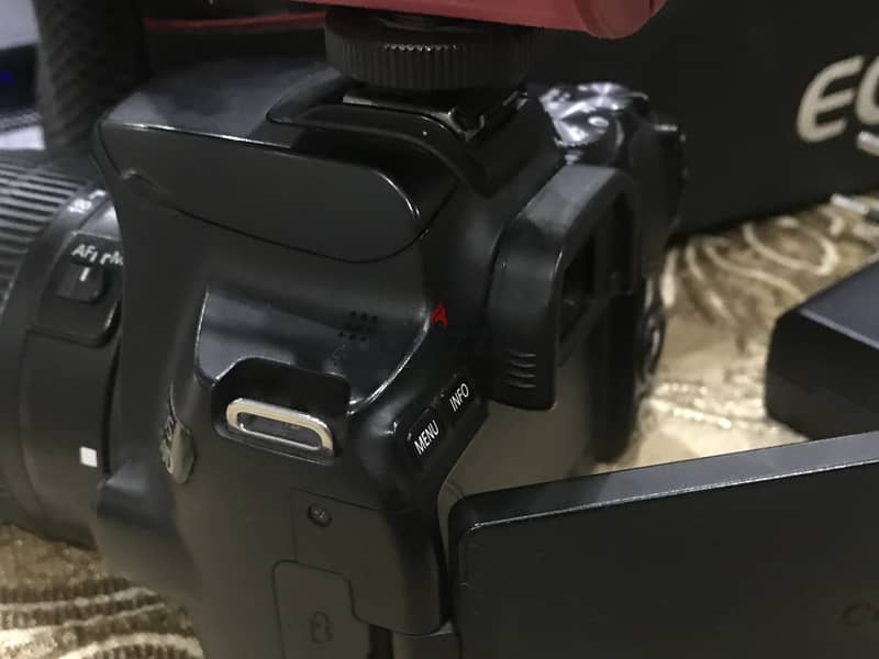 canon 250D & Rode videomic go 7