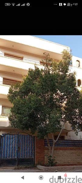 عماره سكنيه للبيع بالحي الثاني خطوات للجامعة 2