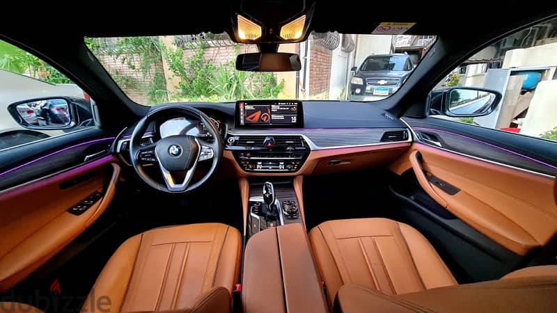 BMW 520i Luxury 2021 16