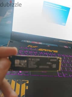 crucial 2tb ssd nvme 0