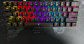 keyboard white shark 60% 0