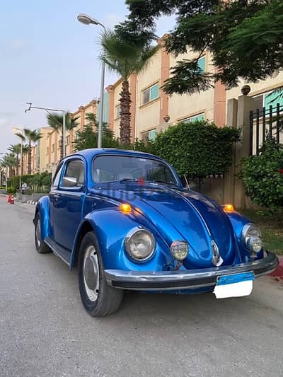 Classic beetle 1981 / كلاسيك بيتل ١٩٨١