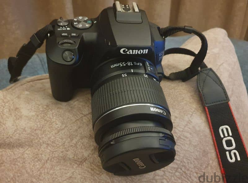 Canon 250D with accessories 2