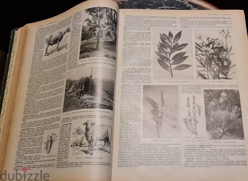 Larousse Agricole 1922 3