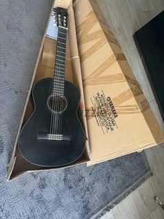 Acoustic Guitar C40BL/02