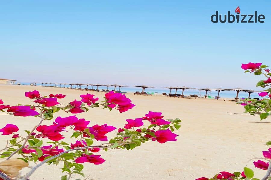 With 10% down payment, own a 220 sqm duplex on the sea in Blue Blue, Ain Sokhna 9