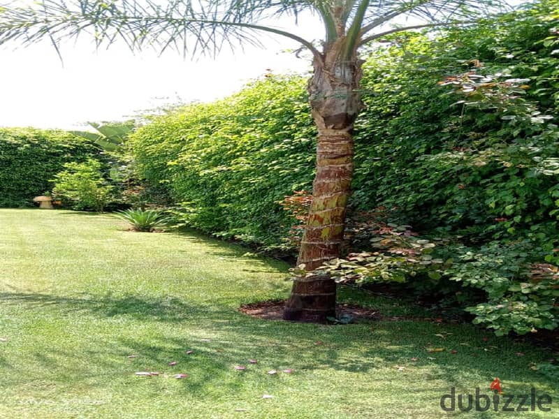 villa with Garden for rent in Madinaty Compound 19