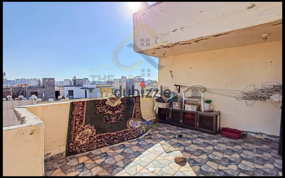 Apartment For Sale 300 m El-Mandara (El-Sayed Hassanein St. ) 7