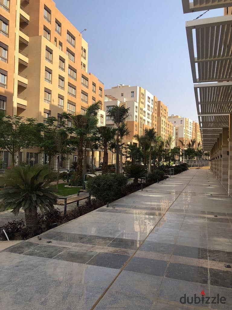 Your chance again to own apartment in Mamsha Al Maqsad 55% discount 5