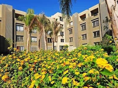 شقه متشطبه في بالم باركس بجوار نادي الجزيره Compound palm parks 6