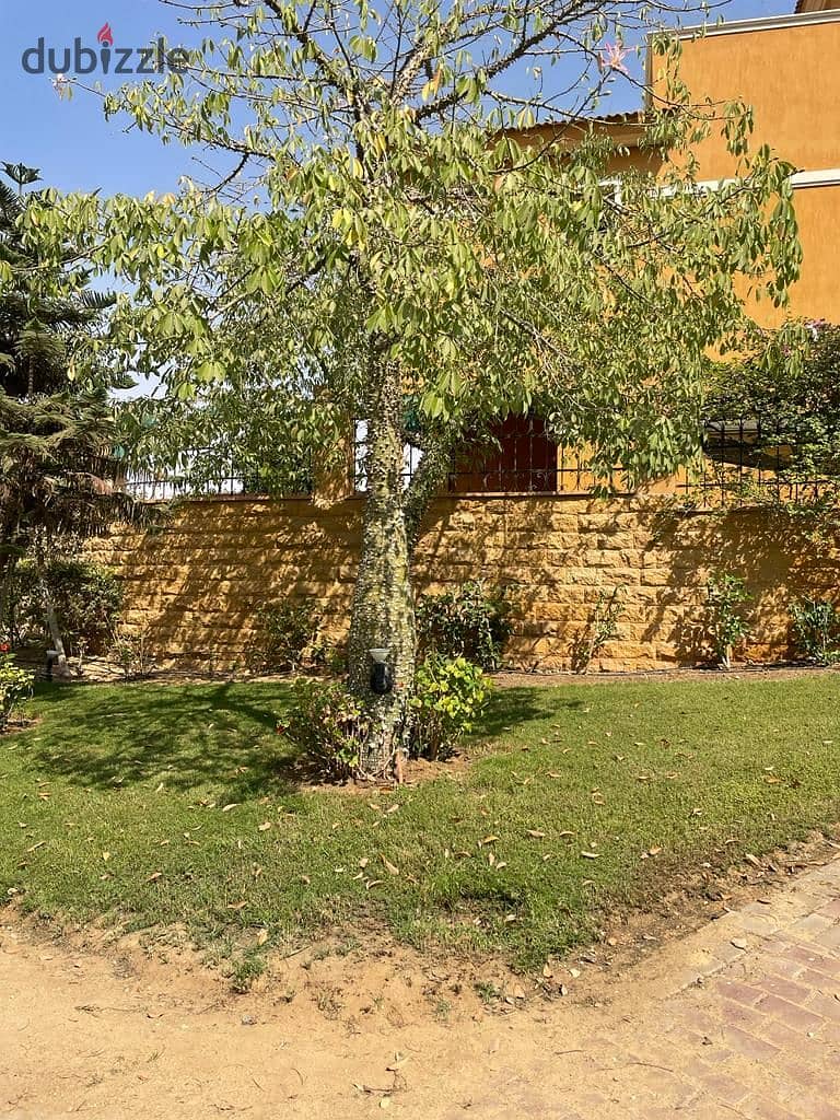 Town House for Sale Dyar Park Finished 2