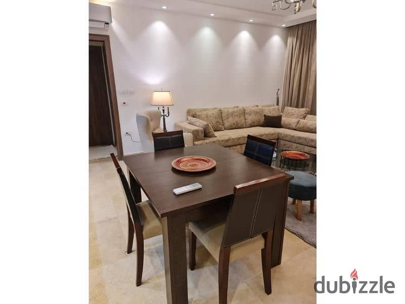 Fully furnished Apartment in lake view residence . 6