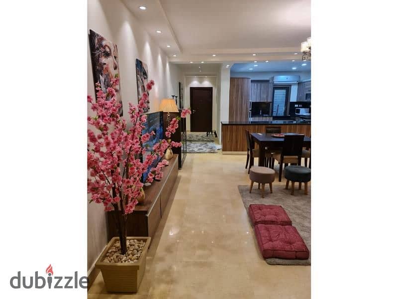 Fully furnished Apartment in lake view residence . 24