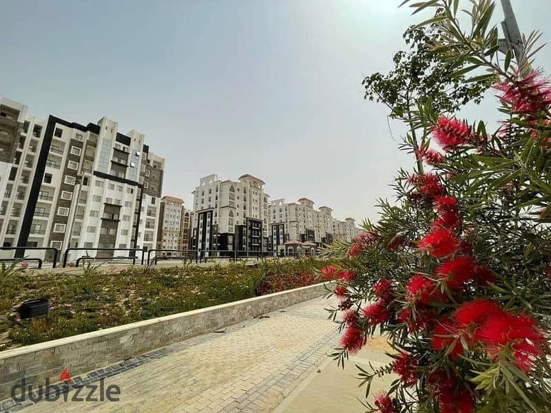 Apartment for sale in Maqsed - Ready To Move - Fully finished - Bua ,, 145 ,, 8