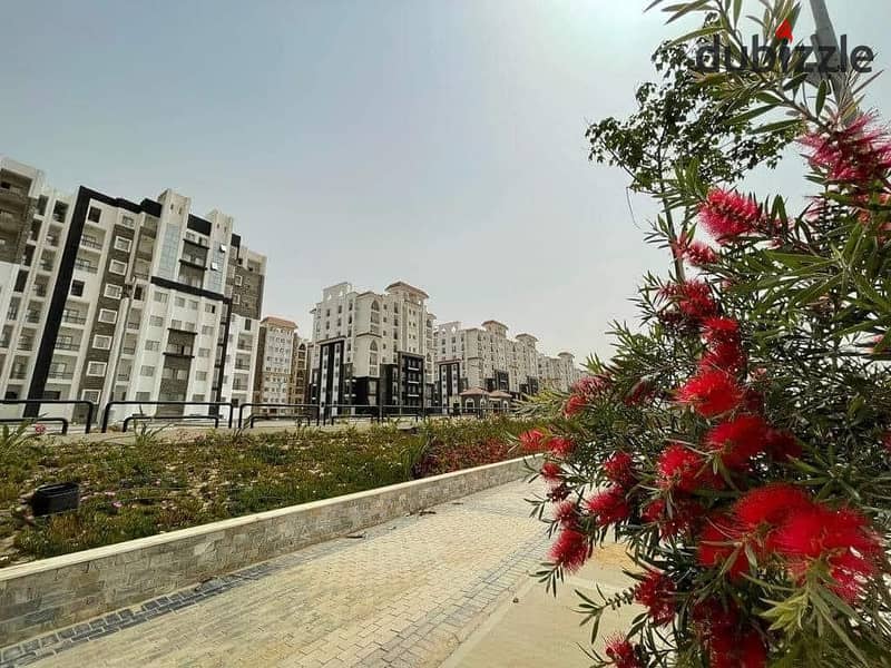 Apartment for sale in Maqsed - Ready To Move - Fully finished - Bua ,, 165 ,, 3