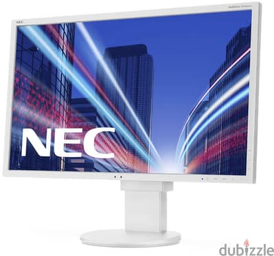 NEC Display MultiSync EA223WM 22" Widescreen LED Monitor