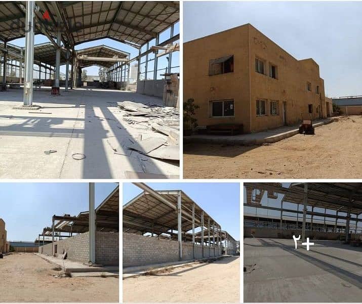 Factory For Rent Land Area 11,900 Sqm, It Has A Truss 5,400 Sqm, An Administrative Building 500 Sqm And Electricity 350 kilowatts In 10th Of Ramadan 0