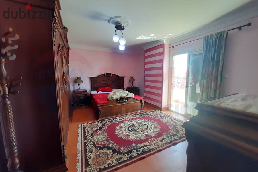 Furnished apartment for rent, 200 m, Kafr Abdo (steps from Al-Allenby Park) 9