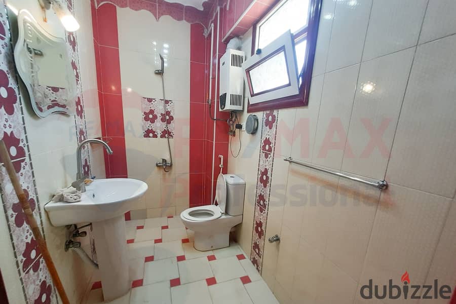 Furnished apartment for rent, 200 m, Kafr Abdo (steps from Al-Allenby Park) 16