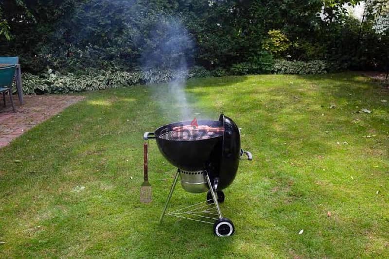 Weber Grill 5