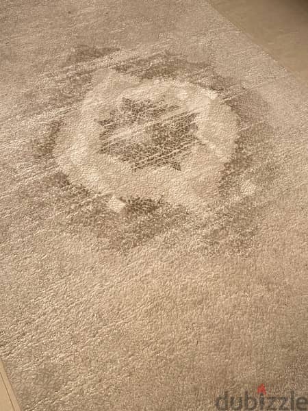 Neutral Carpet 1