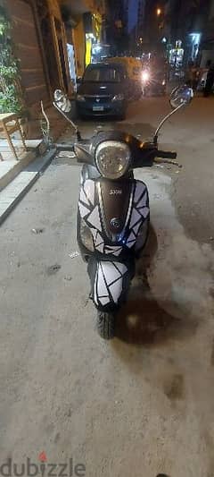 Scoter