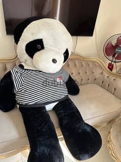 دبدوب باندا كبير  giant large panda bear 0