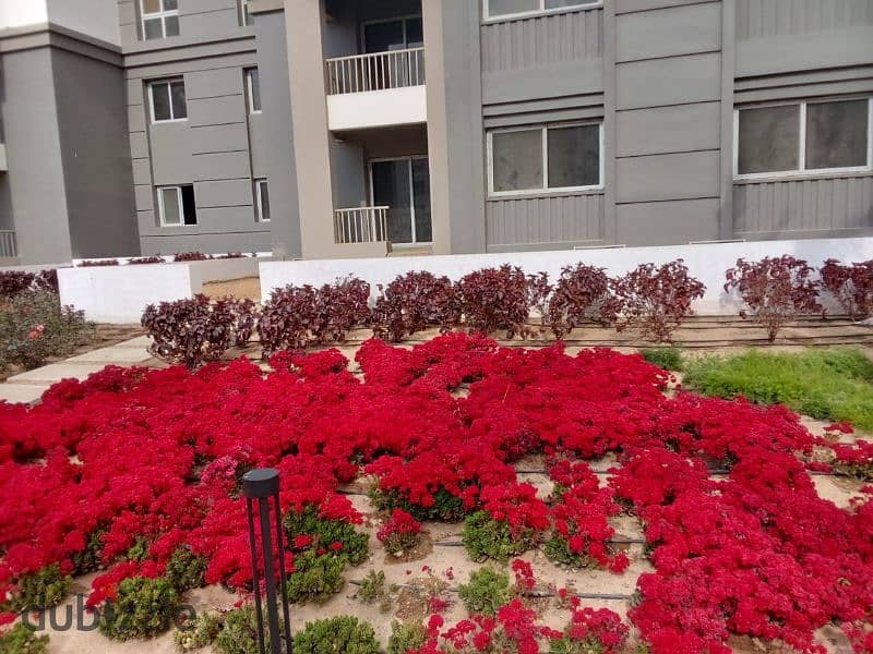 Apartment with garden 207m for sale ready to move view landscape prime loction under market price in Hyde Park Compound 8