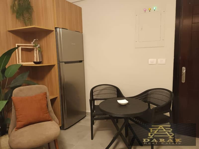 Furnished Ultra-Modern Apartment for Rent 9